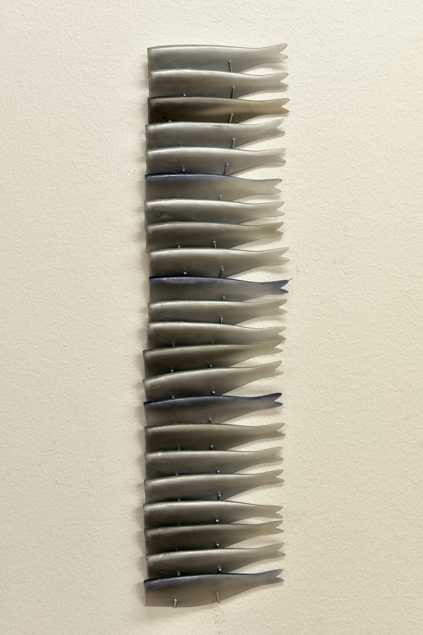 Nicole Ward